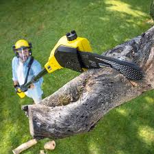 Best Lawn Watering Services  in Hope, IN