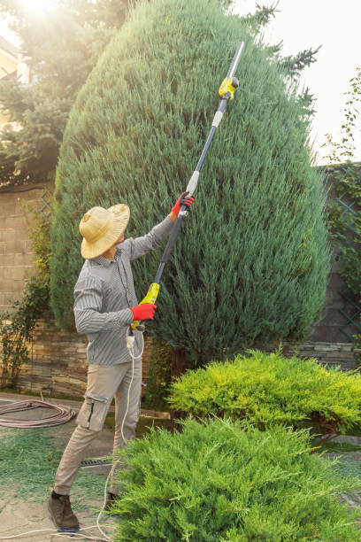 Lawn Grading and Leveling in Hope, IN